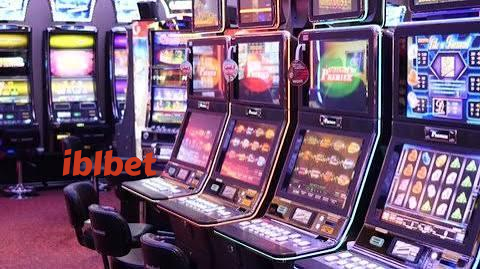 iblbet Live Sportsbook Markets at Your Fingertips